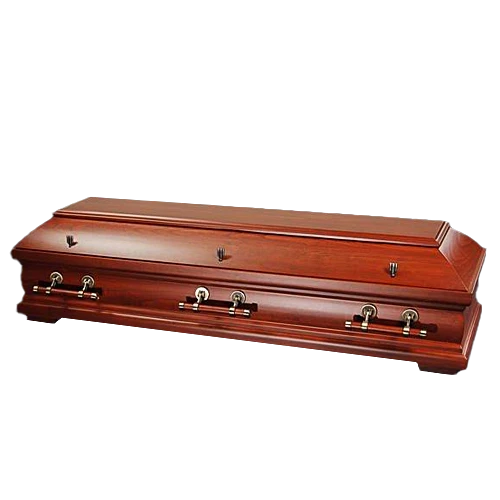 Frassino Wood Caskets German Style Coffin